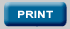 Print lawyer details